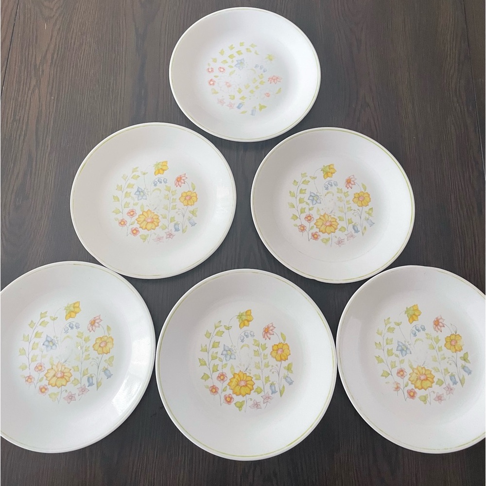 Set of 6 Corelle Spring Meadow Plates